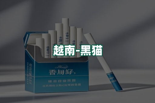 越南黑猫